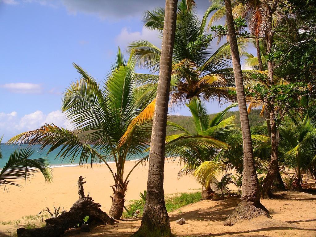 Mangoplaya Vila Deshaies Exterior foto